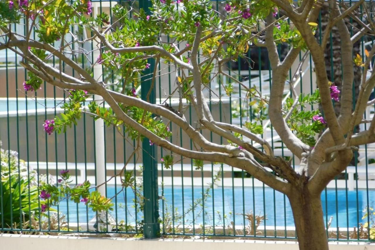 "T2 "Antibes Les Pins 3" Air Conditionned Sea View With Parking And Pool" Apartment Luaran gambar